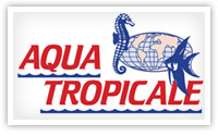 Aqua Tropicale